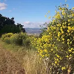 Poggio La Grognola Bed and Breakfast Cannara