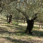 Poggio La Grognola Bed & Breakfast