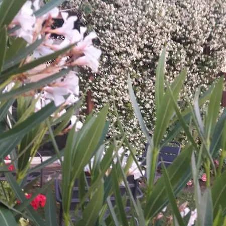 Poggio La Grognola Cannara