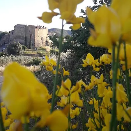Bed & Breakfast Poggio La Grognola Cannara