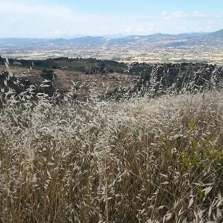 Poggio La Grognola Alojamento de Acomodação e Pequeno-almoço Cannara