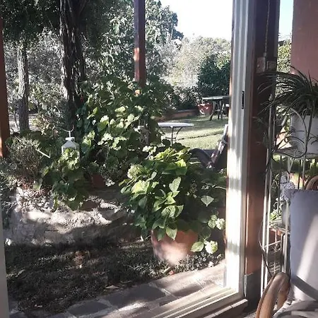 Poggio La Grognola Alojamento de Acomodação e Pequeno-almoço Cannara