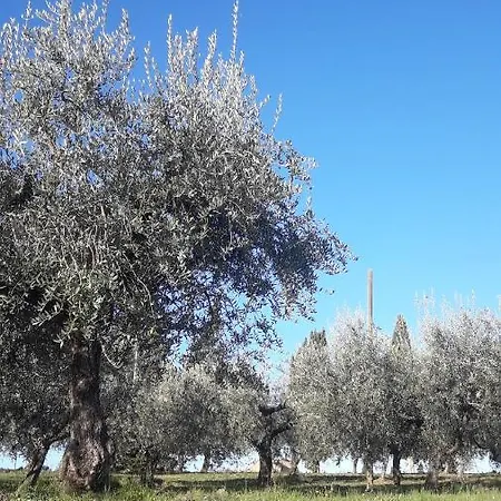 Poggio La Grognola 3*