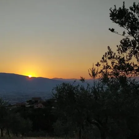 Poggio La Grognola Cannara