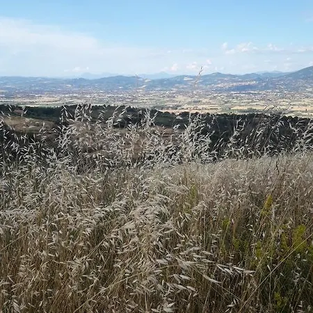 Bed & Breakfast Poggio La Grognola Cannara