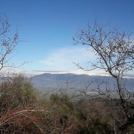 Bed & Breakfast Poggio La Grognola Cannara
