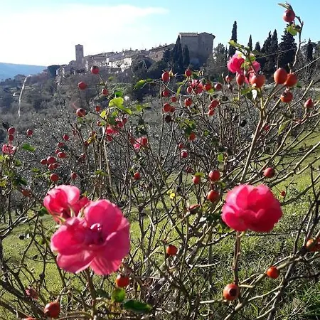 Poggio La Grognola B&B 3*