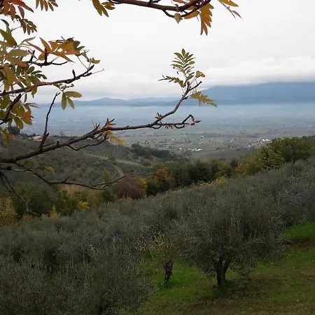 Poggio La Grognola B&B 칸나라