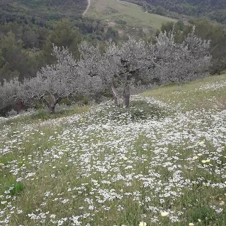 Poggio La Grognola *
