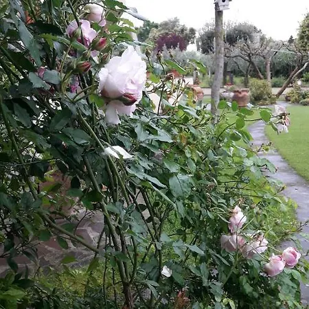 Poggio La Grognola Bed & Breakfast