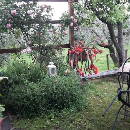 Poggio La Grognola Bed & Breakfast Cannara