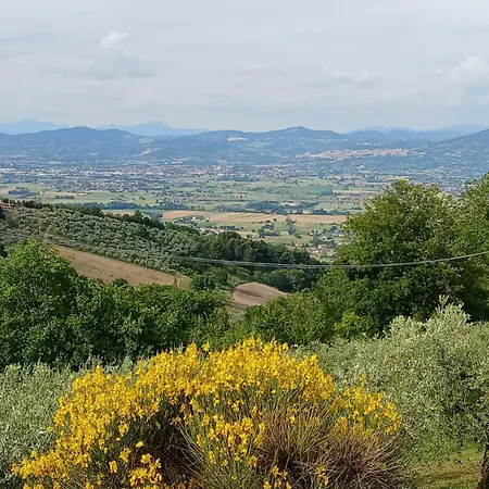 Poggio La Grognola 3*