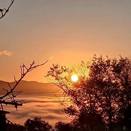 Bed and Breakfast Poggio La Grognola