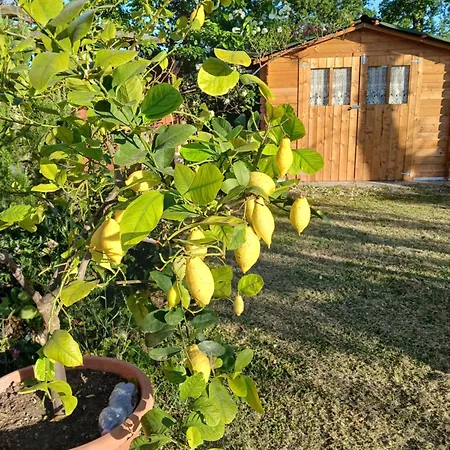 Poggio La Grognola Cannara