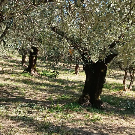 Poggio La Grognola B&B