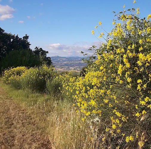 Poggio La Grognola Alojamento de Acomodação e Pequeno-almoço Cannara