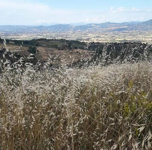 Poggio La Grognola Nocleg ze śniadaniem Cannara