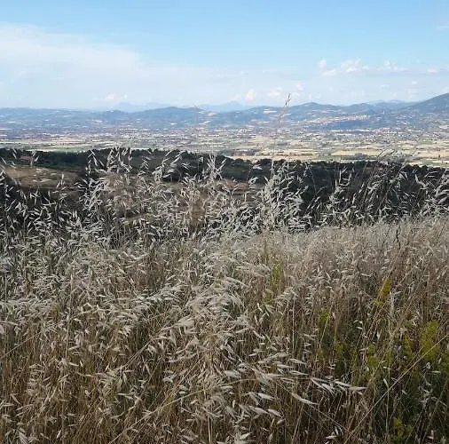 Bed and Breakfast Poggio La Grognola Cannara