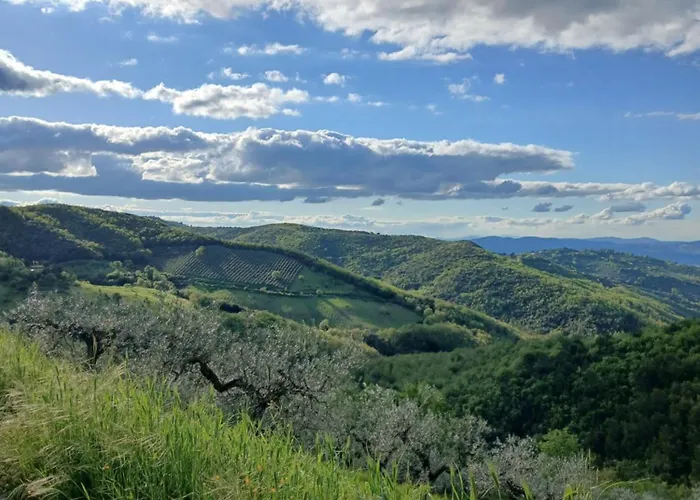 Poggio La Grognola Alojamento de Acomodação e Pequeno-almoço Cannara
