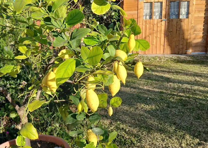Poggio La Grognola Cannara