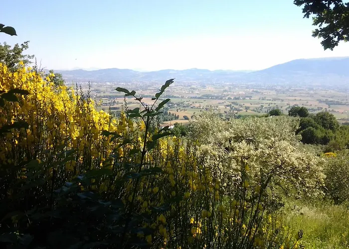 Poggio La Grognola Alojamento de Acomodação e Pequeno-almoço